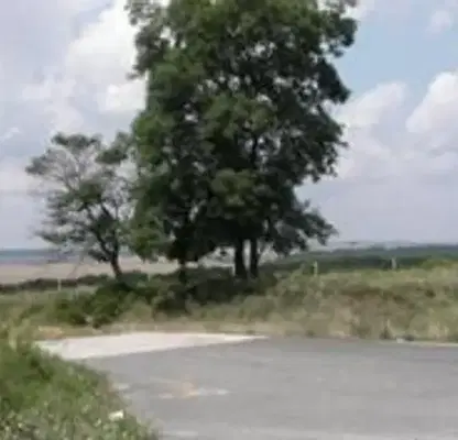 Photo 4 — Plot in Oblast Varna, Bliznaci