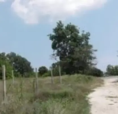 Photo 5 — Plot in Oblast Varna, Bliznaci