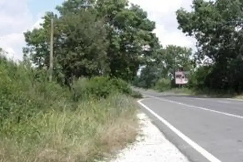 Plot in Oblast Varna, Bliznaci