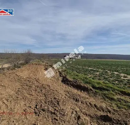Photo 3 — Plot in Oblast Varna, Bliznaci