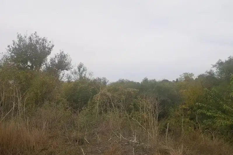 Парцел във Варна, с. Чернево