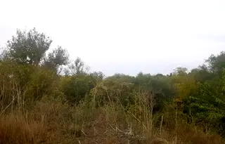 Парцел във Варна, с. Чернево