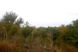 Парцел във Варна, с. Чернево