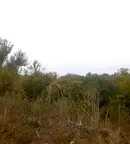 Парцел във Варна, с. Чернево