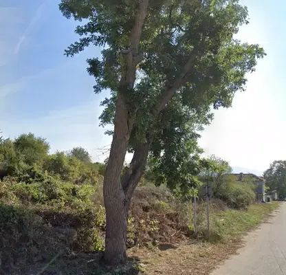 Photo 3 — Plot in Oblast Varna, Dobrina