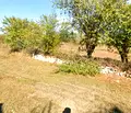 Снимка 3 — Парцел във Варна, с. Добрина