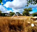 Снимка 5 — Парцел във Варна, с. Доброглед