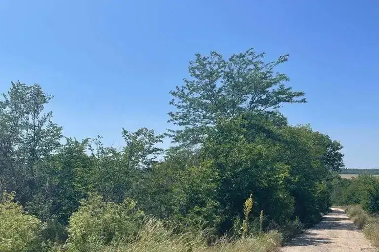 Plot in Varna, General Kiselovo