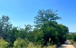 Парцел във Варна, с. Генерал Киселово
