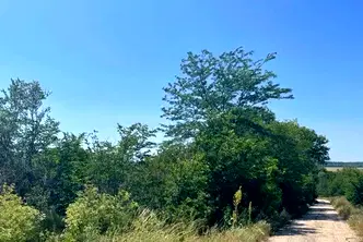 Парцел във Варна, с. Генерал Киселово