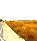 Парцел във Варна, с. Кичево