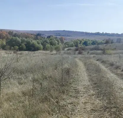 Photo 4 — Plot in Oblast Varna, Nikolaevka