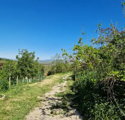 Photo 2 — Plot in Oblast Varna, с. Староселец
