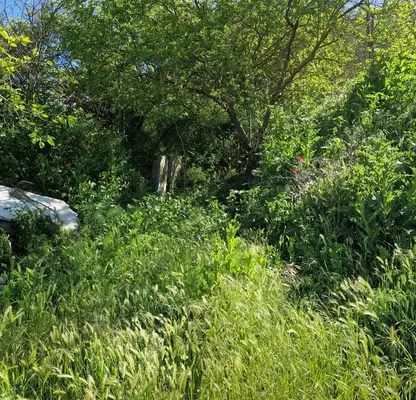 Photo 3 — Plot in Oblast Varna, с. Староселец