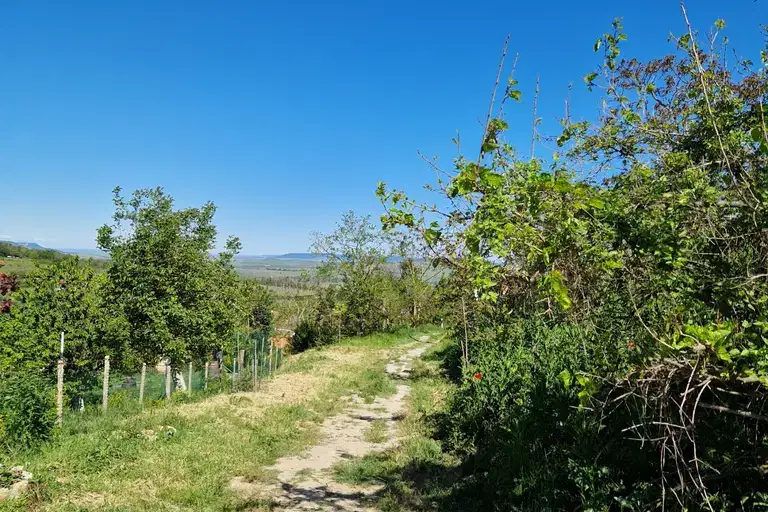 Plot in Oblast Varna, с. Староселец