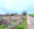 Снимка 3 — Парцел във Варна, с. Страшимирово