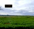 Снимка 4 — Парцел във Варна, с. Яребична