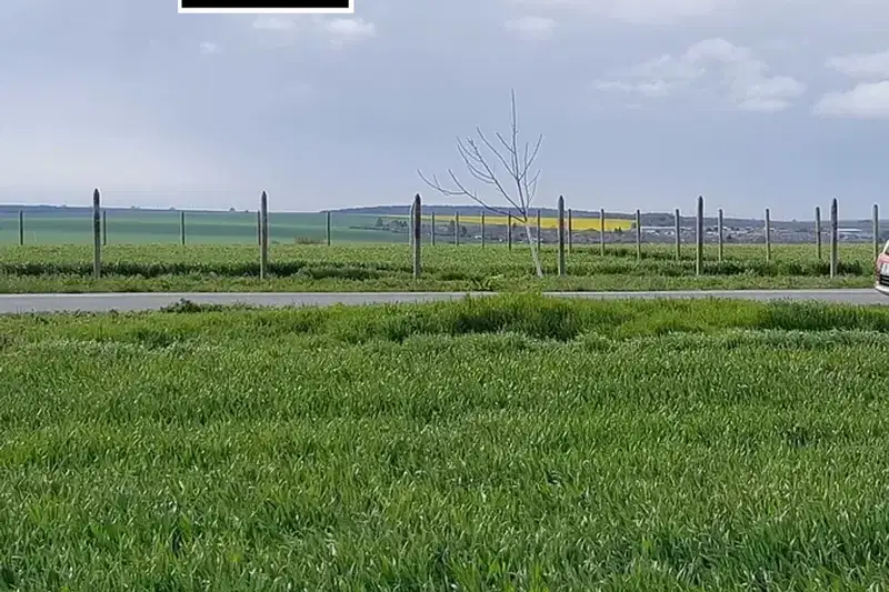 Plot in Oblast Varna, Yarebichna