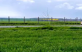 Парцел във Варна, с. Яребична