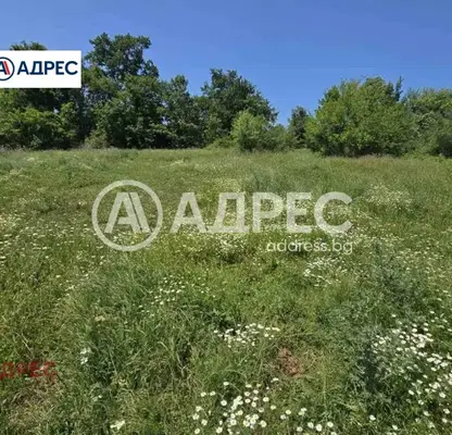 Photo 3 — Plot in Oblast Varna, Yunec