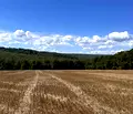Снимка 2 — Парцел във Варна, с. Юнец