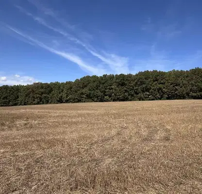 Photo 3 — Plot in Oblast Varna, Yunec
