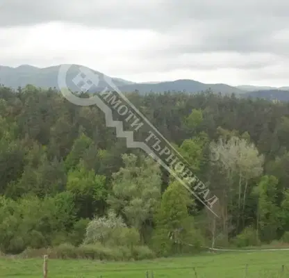 Photo 2 — Plot in Oblast Veliko Tyrnovo, Elena
