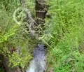 Снимка 5 — Парцел във Велико Търново, Елена