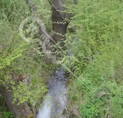 Photo 5 — Plot in Oblast Veliko Tyrnovo, Elena