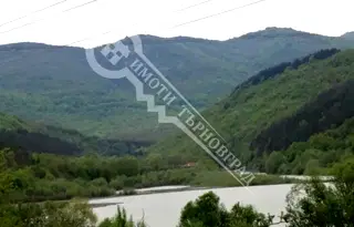 Парцел във Велико Търново, Елена