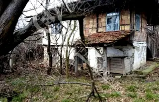 Парцел във Велико Търново, Елена