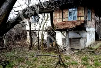 Парцел във Велико Търново, Елена