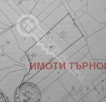 Снимка 5 — Парцел във Велико Търново, Елена