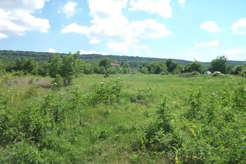 Plot in Oblast Veliko Tyrnovo, Gorna Oryahovica