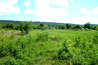 Парцел във Велико Търново, Горна Оряховица