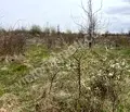Снимка 2 — Парцел във Велико Търново, с. Арбанаси