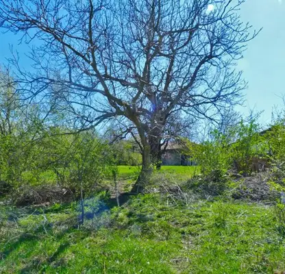 Photo 3 — Plot in Oblast Veliko Tyrnovo, Malki Chiflik