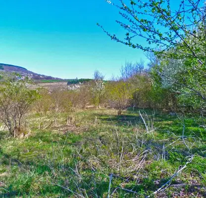 Photo 4 — Plot in Oblast Veliko Tyrnovo, Malki Chiflik
