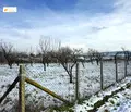 Снимка 3 — Парцел във Велико Търново, с. Мерданя