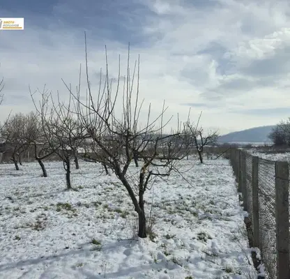Photo 4 — Plot in Oblast Veliko Tyrnovo, Merdanya
