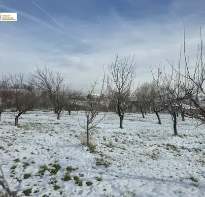 Photo 5 — Plot in Oblast Veliko Tyrnovo, Merdanya