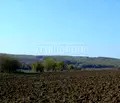 Снимка 3 — Парцел във Велико Търново, с. Паисий