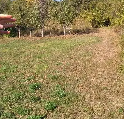Photo 2 — Plot in Oblast Veliko Tyrnovo, Samovodene