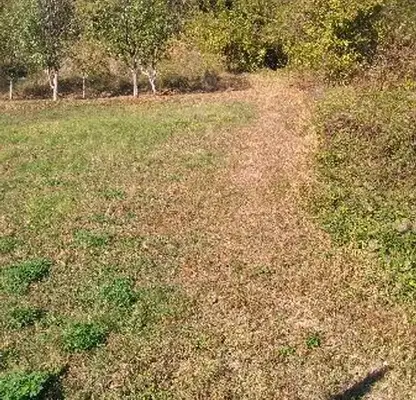 Photo 3 — Plot in Oblast Veliko Tyrnovo, Samovodene