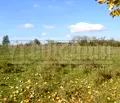 Снимка 2 — Парцел във Велико Търново, с. Стрелец