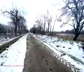 Снимка 4 — Парцел във Велико Търново, с. Велчево