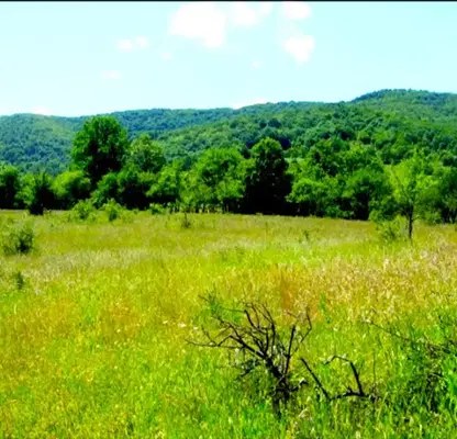Photo 2 — Plot in Oblast Veliko Tyrnovo, с. Въглевци
