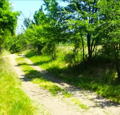 Photo 3 — Plot in Oblast Veliko Tyrnovo, с. Въглевци