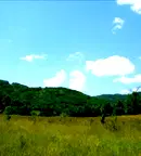 Парцел във Велико Търново, с. Въглевци