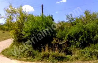 Парцел във Велико Търново, с. Яковци